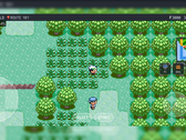 PokeDaisy, ek ekran katmanlarıyla bir Pokémon oyunu oynuyor