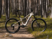 Amflow TL Carbon, DJI’nin Avinox M2 orta tahrikli motoruna sahiptir