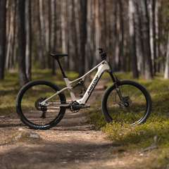 Amflow TL Carbon, DJI’nin Avinox M2 orta tahrikli motoruna sahiptir