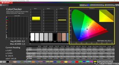CalMAN ColorChecker (profil: Vivid, hedef renk uzayı: P3)