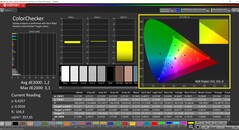 CalMAN ColorChecker (Profil: sRGB, Hedef Renk Alanı: sRGB)