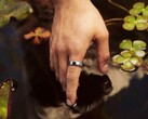 Samsung, Oura Ring 5’e yeni bir alternatif geliştiriyor.