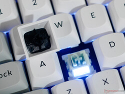 Keychron Q1 HE 8K anahtar arka aydınlatması