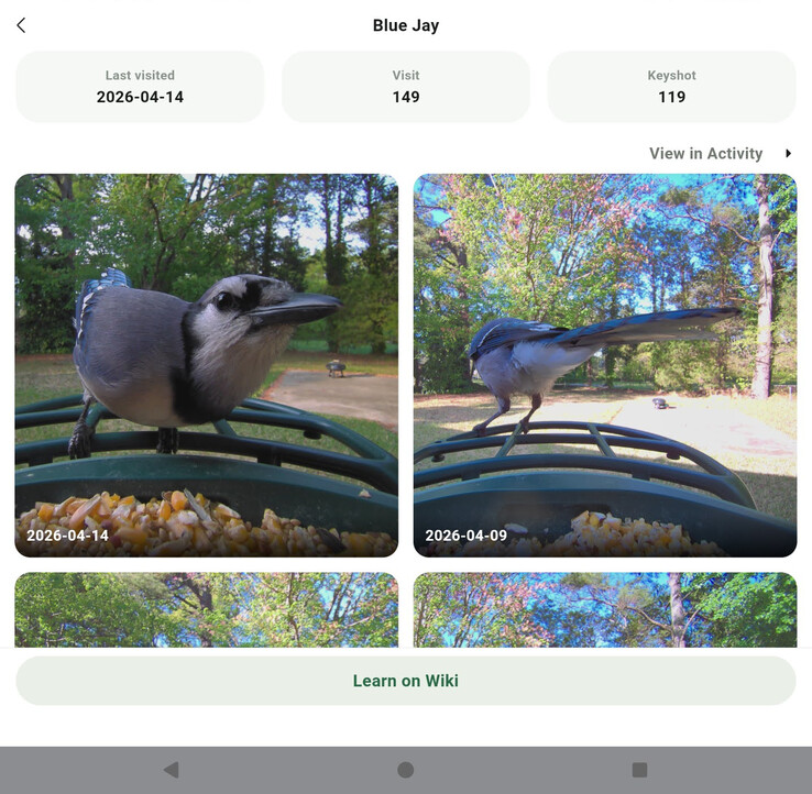 Gösterge tablosu görünümü