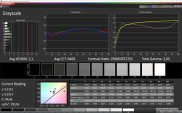 Grayscale (Natural display mode, sRGB target color space)