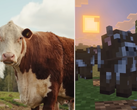 Minecraft Tiny Takeover Güncellemesinden oyun içi inekleri gerçek bir inekle karşılaştıran bir ekran görüntüsü