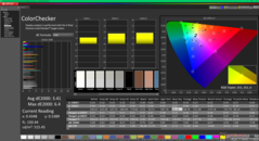 Kalibrasyondan önce ColorChecker (P3)
