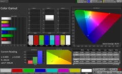 CalMAN renk uzayı sRGB