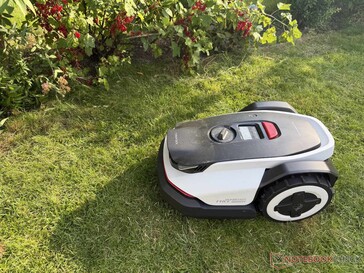 Öte yandan, çimlerin kenarından sarkan bitkiler varsa, robot çim biçme makinesi bunlardan uzak durur.
