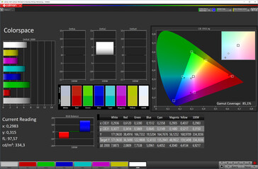 CalMAN: Colour-space coverage (Colour space: sRGB, Profile: Standard)