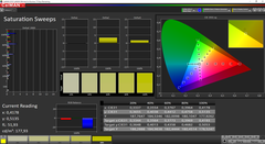 CalMAN Saturation calibrated