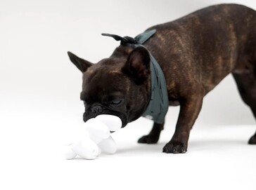 Dog Mode çiğneme oyuncağı