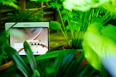 OnePlus 4 harika bir tablettir, ancak destek süresi ideal değildir.