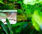OnePlus 4 harika bir tablettir, ancak destek süresi ideal değildir.