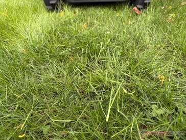 Airseekers Tron testte daha uzun çim kırpıntıları bırakıyor...