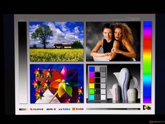 Geniş OLED görüş açıları