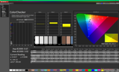 Kalibrasyon sonrası ColorChecker (sRGB)