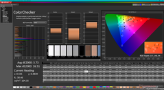 Kalibrasyondan önce ColorChecker