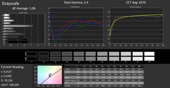 CalMAN: grayscale (calibrated)