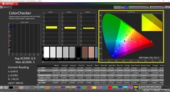 CalMAN ColorChecker (profil: kalibre edilmiş, hedef renk uzayı: P3)
