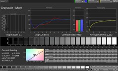 Gri tonlama (renk modu: Profesyonel, hedef renk uzayı: sRGB)