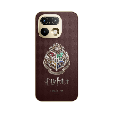 Hogwarts’ın dört evinin armaları, güneş ışığı altında evlerinin renklerini ortaya çıkarır.