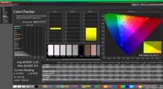Kalibrasyondan önce ColorChecker (sRGB'ye karşı)