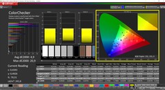 CalMAN ColorChecker kalibre edildi