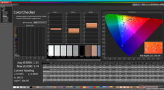 Kalibrasyondan önce ColorChecker