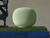 Google Home hoparlörü bir süredir ABD Google Store'da listeleniyor.