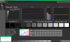 Kalibrasyon öncesi gri tonlama (P3)