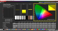 CalMAN ColorChecker (profil: sRGB, hedef renk uzayı: sRGB)