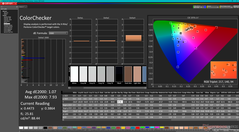 Kalibrasyondan sonra ColorChecker