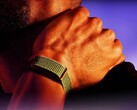 Garmin'in, burada gösterilen Polar Loop'a alternatif bir ürünü yakında piyasaya sürmesi bekleniyor.