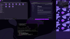 Rhino Linux 2026.1 masaüstü ve mobil cihazlarda Lomiri desteği sunuyor