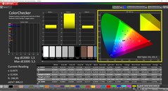 CalMAN ColorChecker (profil: kalibre edilmiş, hedef renk uzayı: P3)