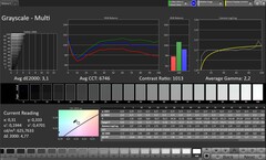 Gri Tonlama (Profil: Original Pro, Hedef renk alanı: sRGB)