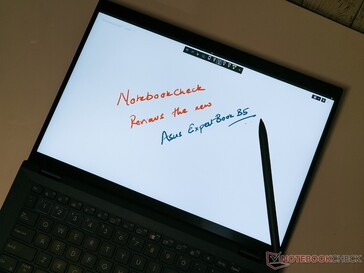 Asus ExpertBook B5 kalem girişi