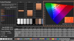 CalMAN: ColorChecker (kalibre edilmiş)