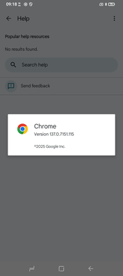Chrome 137 önceden yüklenmiş olarak geliyor. (Resim kaynağı: Sergey Tarasov - Notebookcheck)