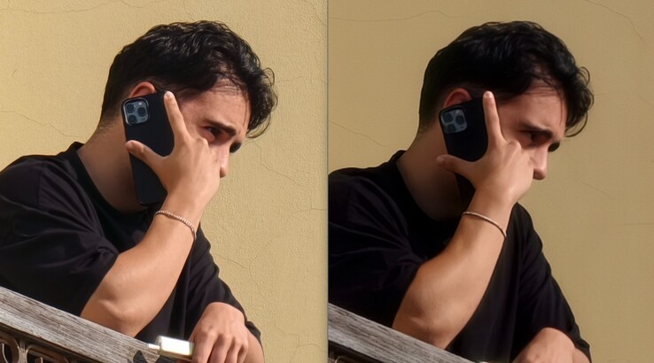 Karşılaştırma burada da açıkça görülüyor. Sol: 400 mm'de telekonvertör ile. Doğru: Telekonvertörsüz