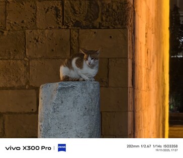 Telekonvertörsüz Vivo X300 Pro 200 mm.