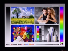 Geniş OLED görüntüleme açıları