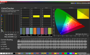 Renk doğruluğu (profil Standart, hedef renk alanı sRGB)