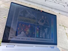 Açık havada güneş ışığı altında