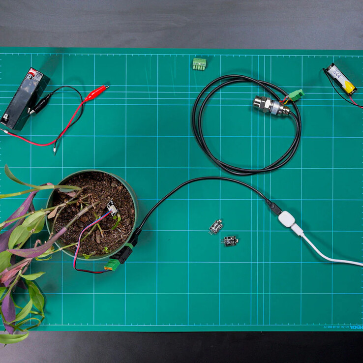 Shelly'den The Pill (Resim kaynağı: Shelly)