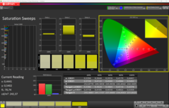 CalMAN Doygunluk Taramaları (kalibrasyondan sonra)