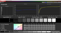 CalMAN Grayscale calibrated (target color space P3)