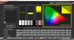 CalMAN ColorChecker (profil: sRGB, hedef renk uzayı: sRGB)