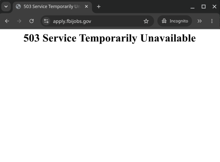 FBI sayfa 503 hatası